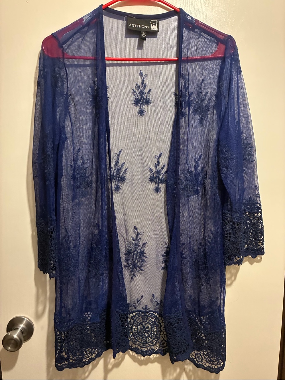 Antthony Royal Blue Sheer Embroidered Lace Kimono